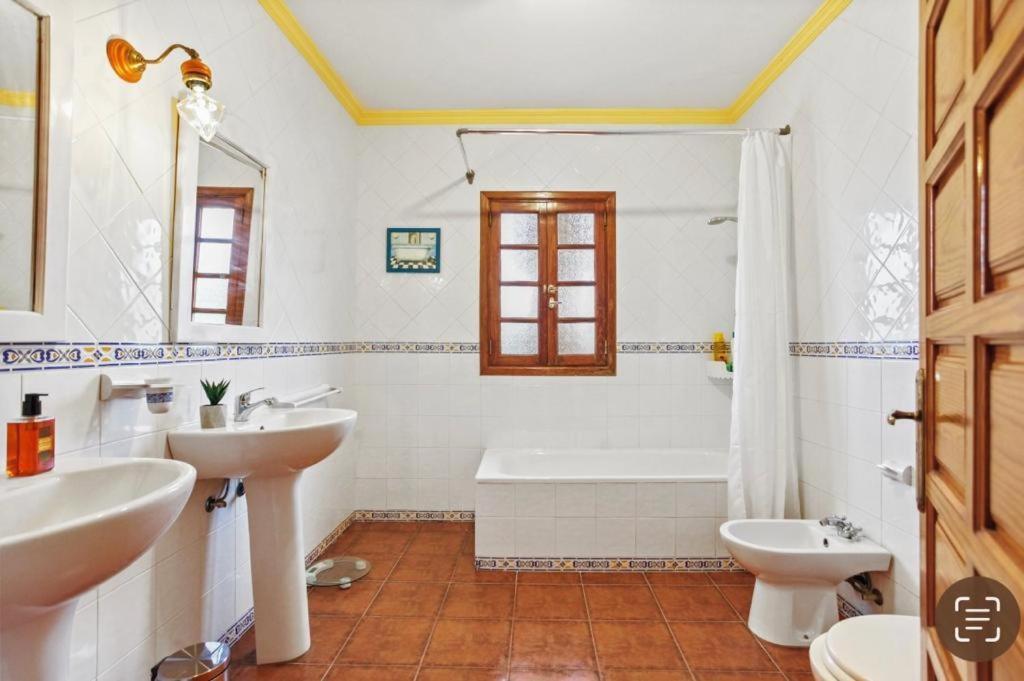 Villa Aventura Parque Holandes Kültér fotó